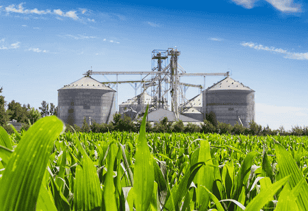 Ethanol Capacity Soars 4X to 1,810 Cr Litres in Modi Govt's 11 Years